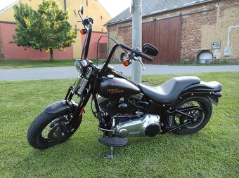 HARLEY DAVIDSON FLSTSB cross bones springer - 6