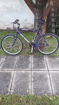 Prodam horse kolo - 6