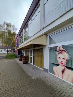 Prodám markýzu - 6