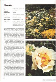 Kniha ZIMA V ZAHRADĚ - 6