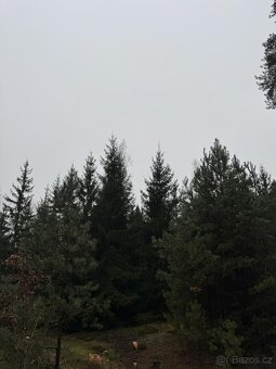 Prodám pozemky v k.ú. Veliny - 6