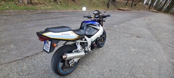 Suzuki gsx-r 1000 - 6