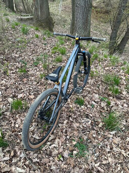 custom CTM dirtking - 6