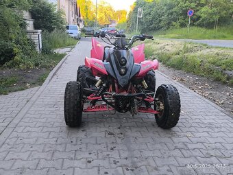 Xy schineray 250 stixe - 6