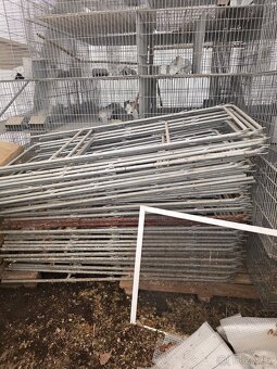 Kotce pro kraliky - 6