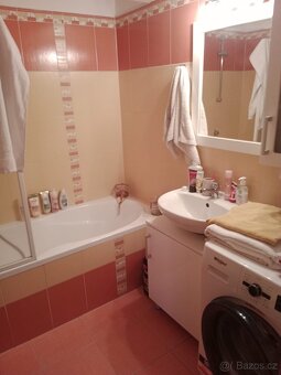 Pronajmu byt 2kk v Plzni - 6