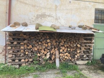 Palivové dřevo - 6