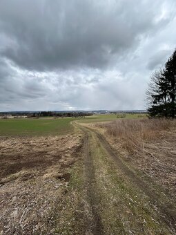 Prodej zahrady, Javorník u Svitav - 6