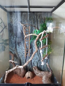 Terárium pro chameleona Exorerra - 6