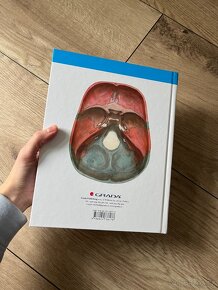 Anatomie 1. díl - 6