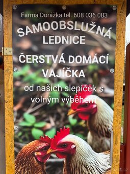 Domácí vejce - 6