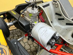 Motokára Intrepid KF 3 nebo Rotax Junior - 6