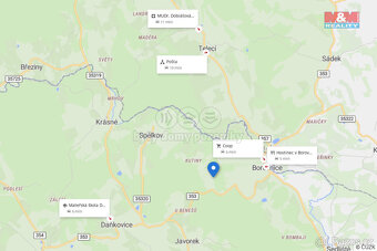 Prodej lesa, 38344 m², Borovnice - 6