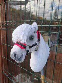 Hobby Horse - 6