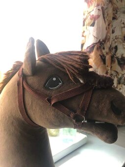 Hobby Horse - 6