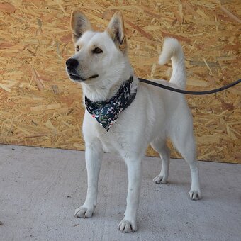 🌸 Zaira – veselá parťačka do života 🌸 - 6