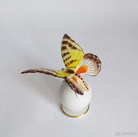 Porcelánový motýl Rosenthal - 6