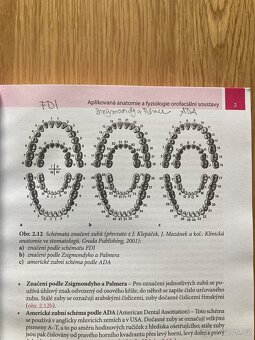 Stomatologie pro dentální hygienistky a zubní instrumentářky - 6