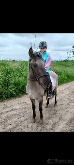 Pony valášek - 6