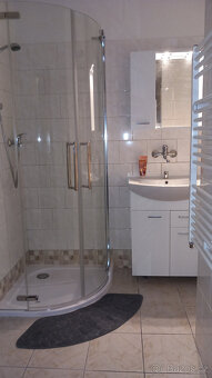 Pronájem bytu 2 + 1 - 6