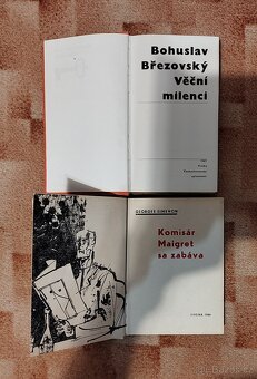 Knihy staršího data vydání - 6