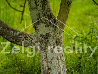 Polom - Jabloňový sad 9760m² s zahradním domkem na prodej - 6