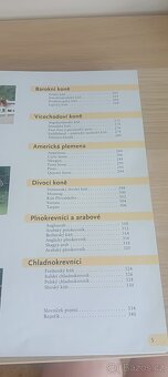 Kniha Koně – Gabriele Metz, Ulrike Amler - 6