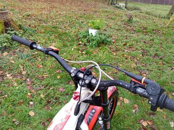 Trial beta 300 4takt. Rv. 2010 - 6