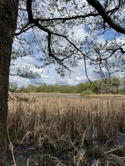 Prodám pozemky v katastrálním území Mníšek - 6