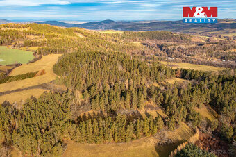 Prodej lesa, 30891 m², Malenice - 6