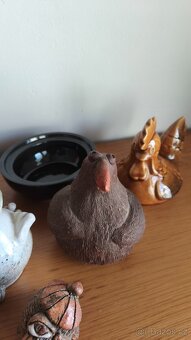 sbírka ptáčků - 6