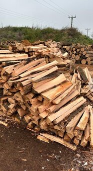 PALIVOVÉ DŘEVO - 6