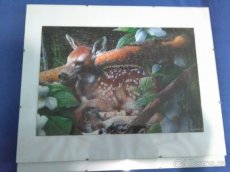 Obrazy puzzle - 6
