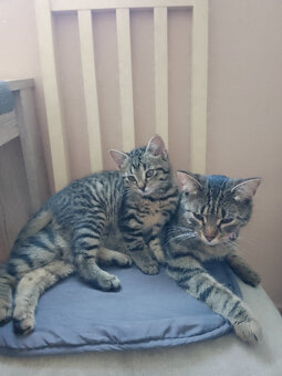 Lili a Neli - 6