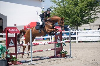 Sportovní kobyla - 6