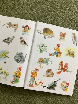 Skřítek rozekvítek - 6