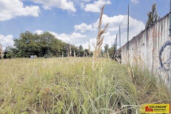 Sebranice - zahrada, příjezdová asfaltová komunikace, oploce - 6