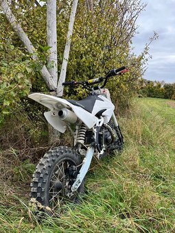 pitbike 125 Thunder - 6