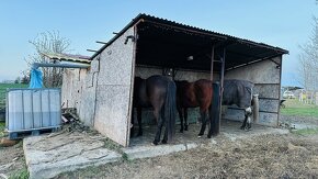 Pastevní trekové ustájení exit34 D1 STOP STAV - 6