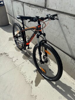 Kellys viper 30 - 6