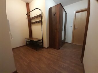 Pronájem bytu 1+kk, 52m2 - 6