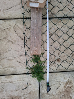 Pletivo plotové nebo proti okusu stromů, výška 160cm (100cm) - 6