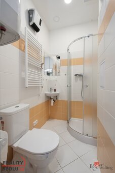 Prodej, byty/1+1, 38 m2, Vodárenská 380, 36235 Abertamy, Kar - 6