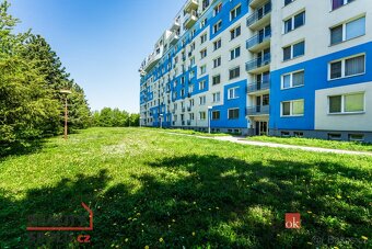 Prodej, byty/3+kk, 122 m2, třída Generála Píky 1993/9, 61300 - 6