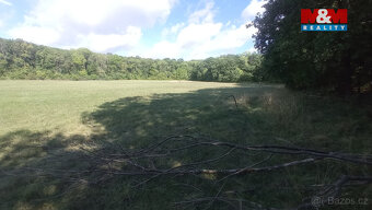 Prodej louky, 16692 m², Jenčice - 6