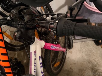 Author record 20” - 6