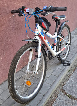 DEMA 24 bicykel - 6