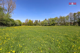 Prodej pozemku, 4590 m², Horní Bříza - 6