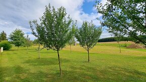 Pozemek s hotovým projektem a výstavby hrubé stavbou na Klíč - 6