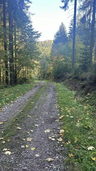 Prodej pozemku - louka, les - 6